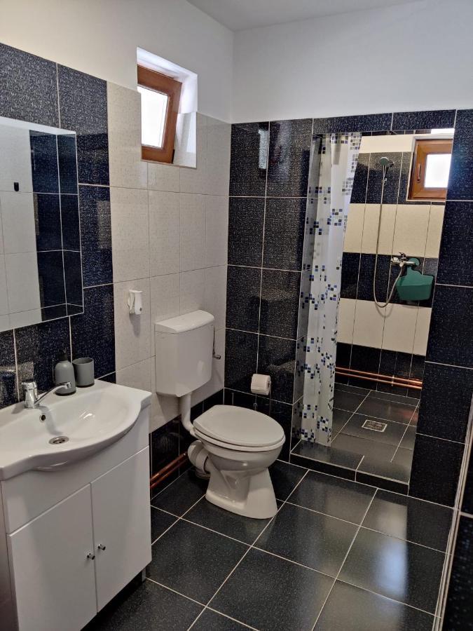 Casa Marina Guest House Călimăneşti Екстериор снимка